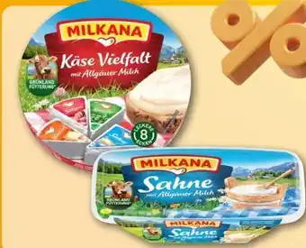 REWE Center Milkana Käse Vielfalt Angebot