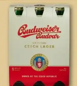 REWE Center Budweiser Budvar (CZ) Original Czech Imported Lager Angebot