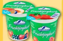 REWE Center Schwälbchen Fruchtjoghurt Angebot