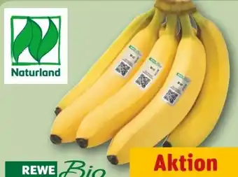 REWE Rewe Bio Bio-Bananen Angebot