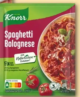 REWE Knorr Fix Spaghetti Bolognese Angebot