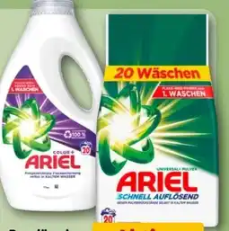 REWE Ariel Pulver Regular Angebot