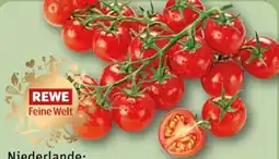 REWE Rewe Feine Welt Mini Cherry Rispentomaten Süße Versuchung Angebot