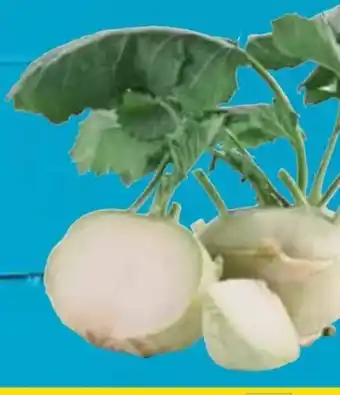 E-Center Kohlrabi Angebot