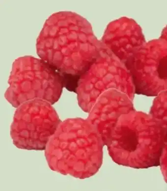 Edeka Xpress Himbeeren Angebot