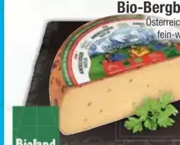 E-Center Andechser Natur Bio-Bergblumenkäse Angebot