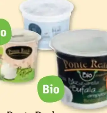 tegut Ponte Reale Bio Mozzarella di Bufala Campana Angebot