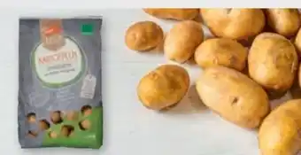 tegut Bioland tegut... Bio-Kartoffeln Angebot