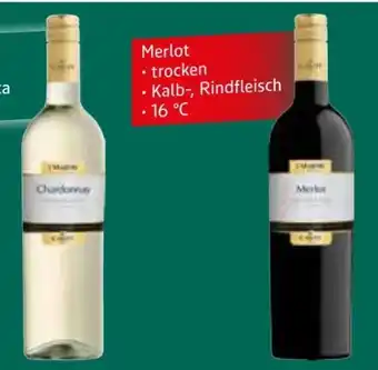 Edeka Cavit Merlot Angebot