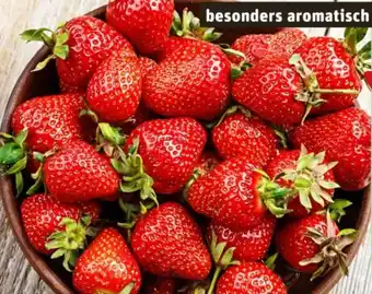 REWE Center Rewe Beste Wahl Erdbeeren Calinda Angebot