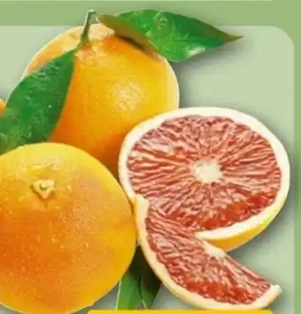 REWE Center Rewe Beste Wahl Grapefruit Angebot