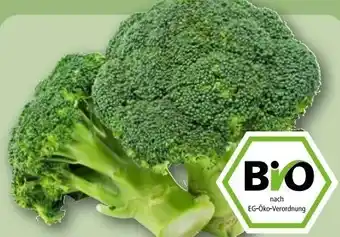 REWE Center Rewe Bio Broccoli Angebot