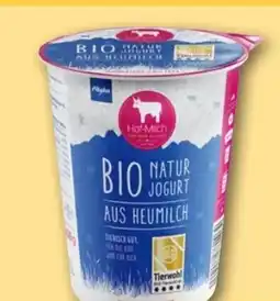 REWE Center Hof-Milch Allgäuer Bio Naturjoghurt Angebot