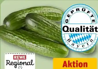 REWE Rewe Regional Mini Gurken Angebot