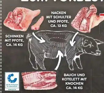 Netto Marken-Discount Halbes Schwein Angebot