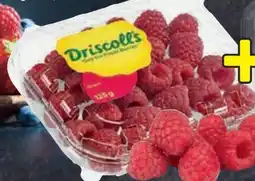 Edeka Driscoll's Himbeeren Angebot