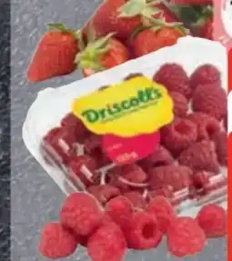 Edeka Frischemarkt Driscoll's Himbeeren Angebot