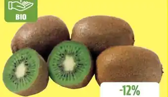 Edeka Bio Kiwis Angebot