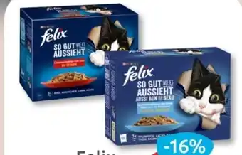 Budni Purina Felix Katzennahrung Angebot