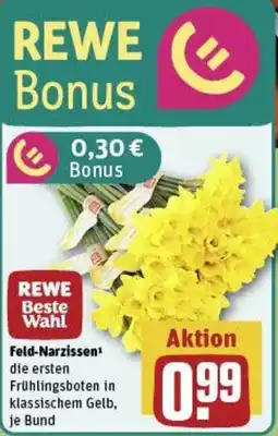 REWE Feld-Narzissen Angebot