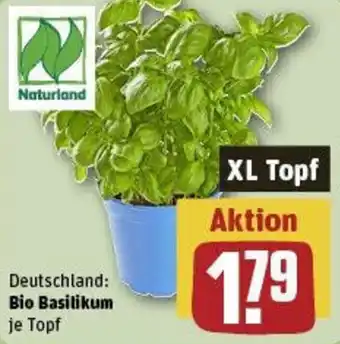 REWE Bio Basilikum Angebot