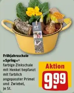 REWE Frühjahrsschale Spring Angebot