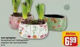 REWE Early Springtime Angebot