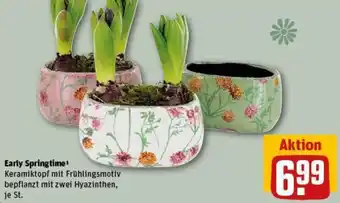 REWE Early Springtime Angebot