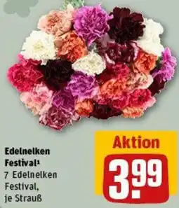 REWE Edelnelken Festival Angebot