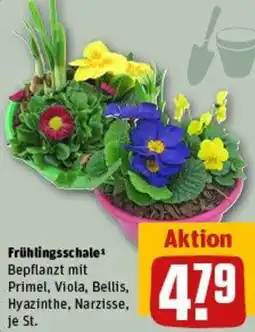 REWE Frühlingsschale Angebot