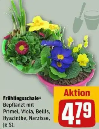 REWE Frühlingsschale Angebot