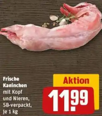 REWE Frische Kaninchen Angebot