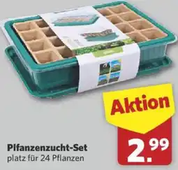 Combi Pflanzenzucht-Set Angebot