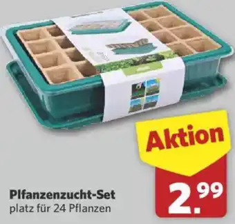 Combi Pflanzenzucht-Set Angebot