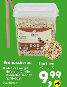 Globus Baumarkt elles Erdnusskerne Angebot