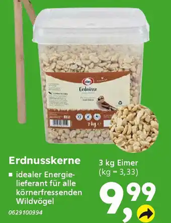 Globus Baumarkt elles Erdnusskerne Angebot