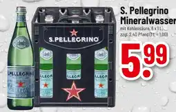 trinkgut S. pellegrino mineralwasser Angebot