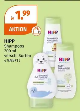 Müller Hipp Angebot