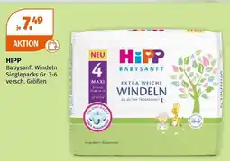 Müller Hipp Angebot