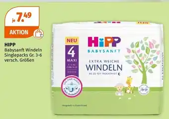 Müller Hipp Angebot