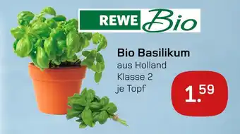 akzenta Rewe bio bio basilikum Angebot