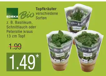 Marktkauf Edeka bio topfkräuter verschiedene sorten Angebot