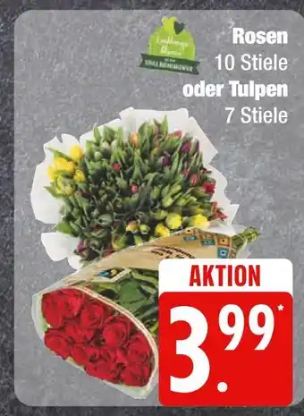 Edeka Rosen oder tulpen Angebot