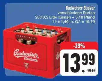 E-Center Budweiser budvar Angebot