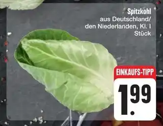 E-Center Spitzkohl Angebot