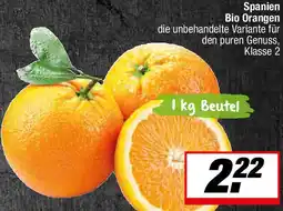 L. STROETMANN GROSSMARKT Spanien Bio Orangen Angebot