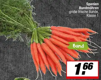 L. STROETMANN GROSSMARKT Spanien Bundmöhren Angebot