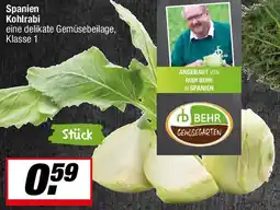 L. STROETMANN GROSSMARKT Spanien Kohlrabi Angebot