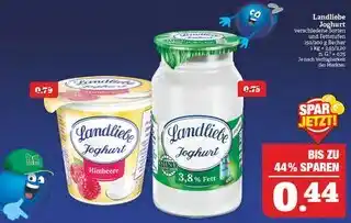 Marktkauf Landliebe joghurt Angebot