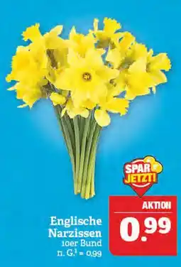 Marktkauf Englische narzissen Angebot